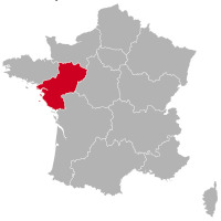 Criadores de San Bernardo en Pays de la Loire,